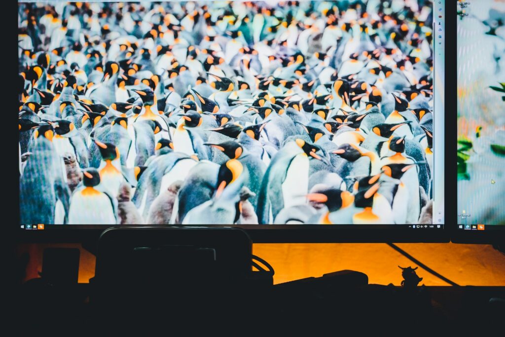 a large group of penguins on a big screen